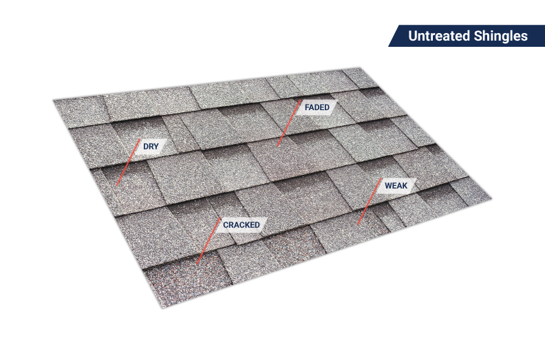 Untreated shingles — dry, faded, cracked